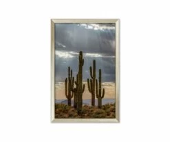 Best Pirce 🎁 L33 Desert Bliss 🧨