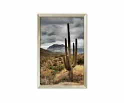 Best Sale 👍 L33 Desert Sunrise 😍