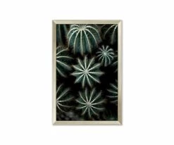 Hot Sale 😍 L33 Enchanted Effervescence 🧨