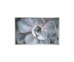 Best Pirce 😉 L33 Enchanted Tranquility 💯