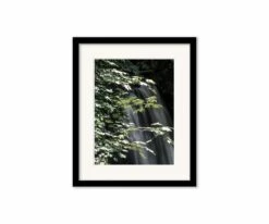 Brand new ⭐ L33 Silvery Silence 😍