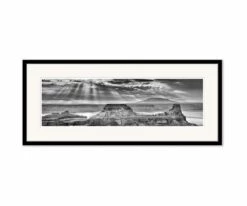 Budget ⌛ L33 Vast Wildness 😉